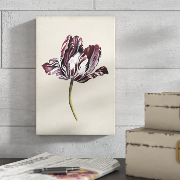 Ophelia & Co. Antique Tulip Study I by Naomi Mccavitt Painting on